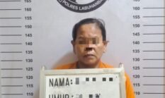 Satnarkoba Polres Labuhan Batu Tangkap Tersangka Seorang Wanita Pengedar Sabu